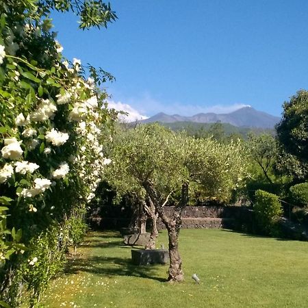 Casa Vacanze Prato Verde Zafferana Etnea Bagian luar foto