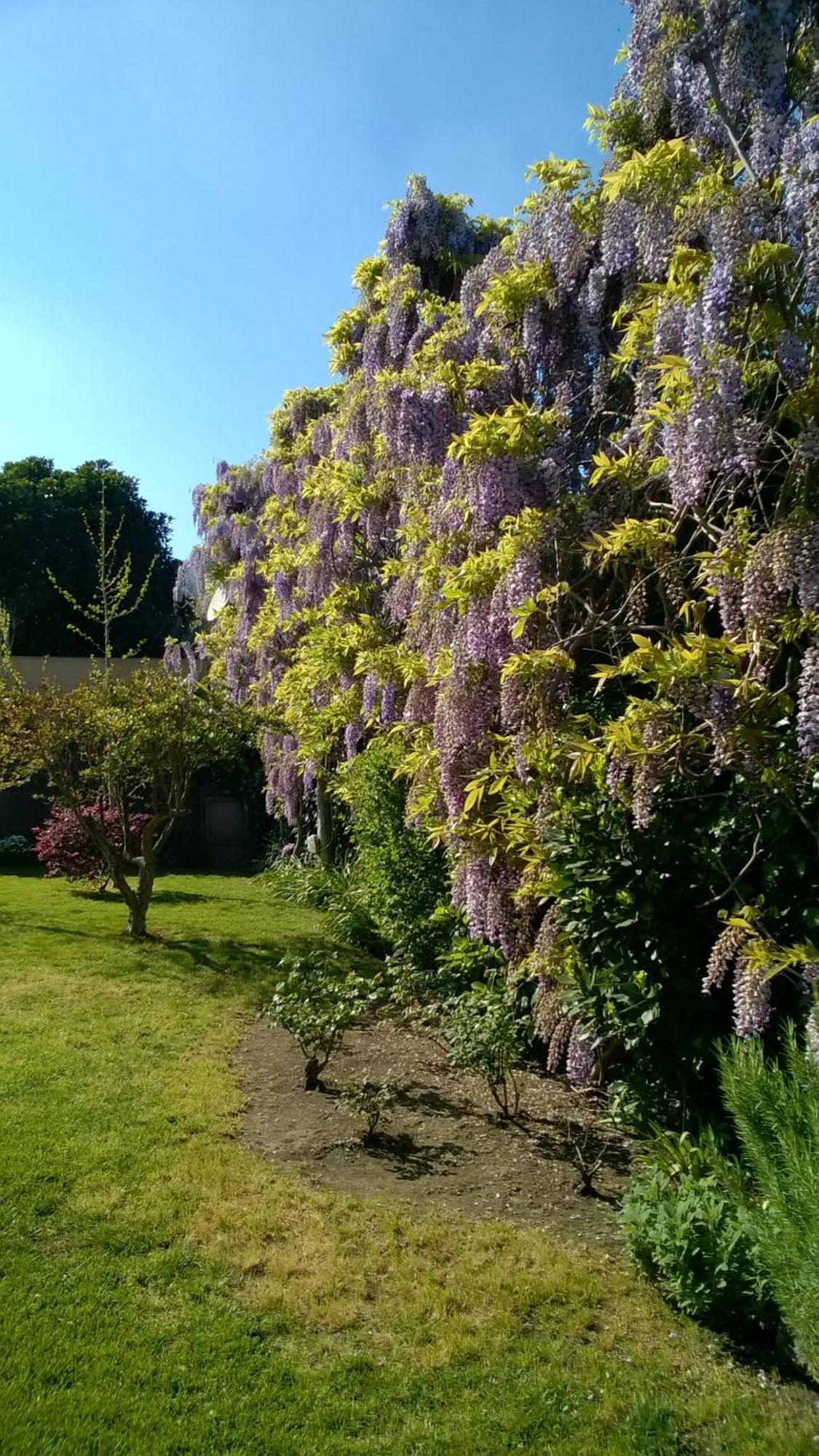 Casa Vacanze Prato Verde Zafferana Etnea Bagian luar foto