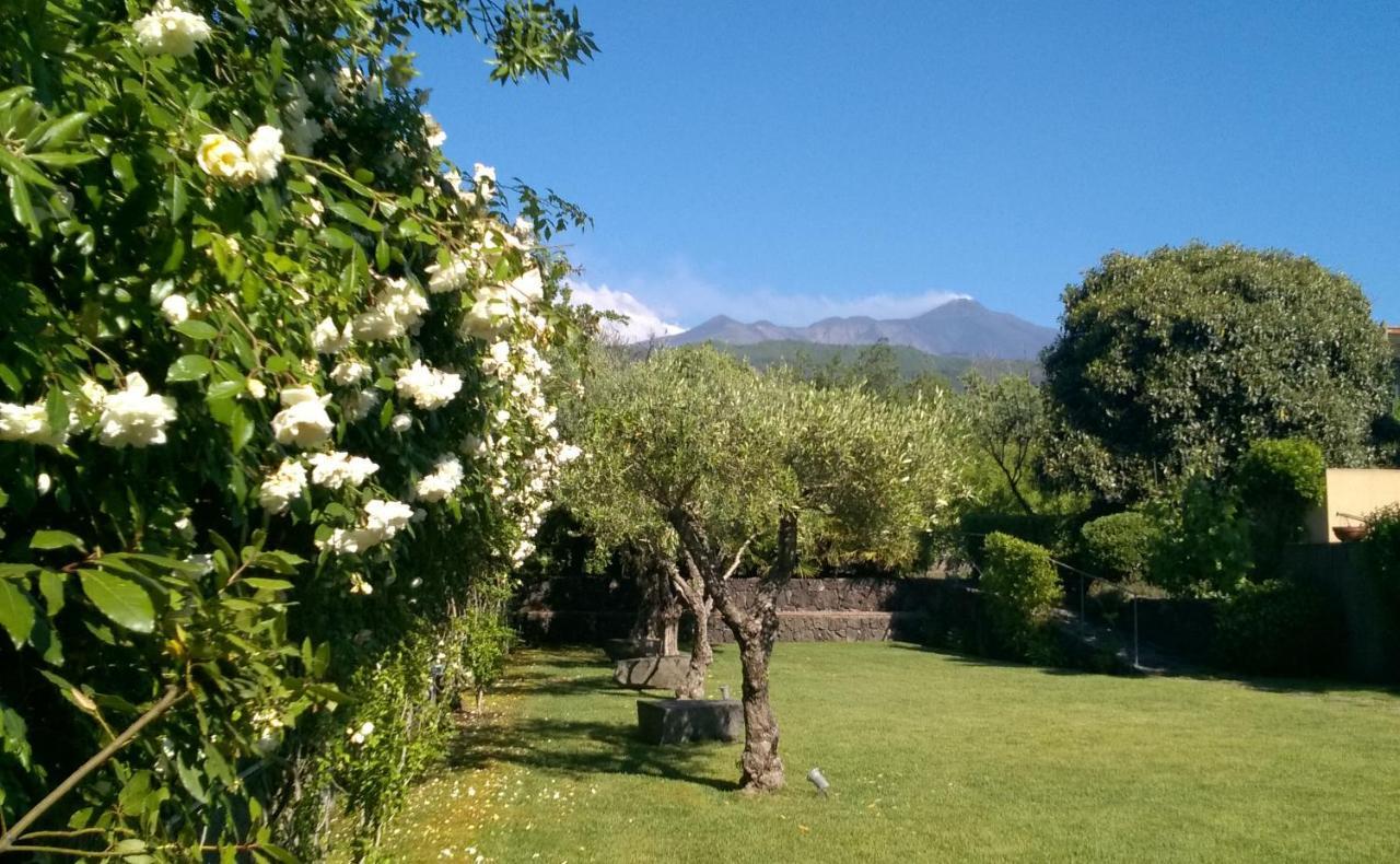 Casa Vacanze Prato Verde Zafferana Etnea Bagian luar foto